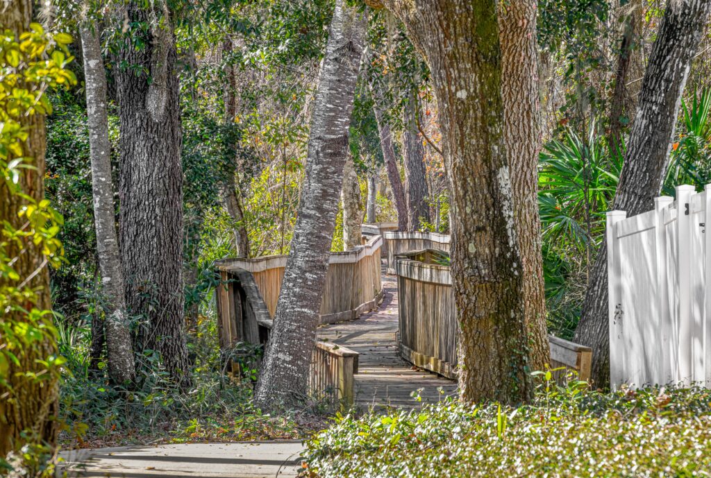 Boardwalk-12 Boardwalk-12