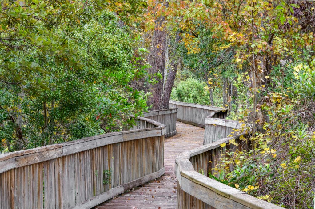 Boardwalk-5 Boardwalk-5